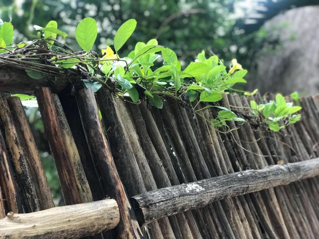 Cabanas La Alborada Villa Tulum Luaran gambar
